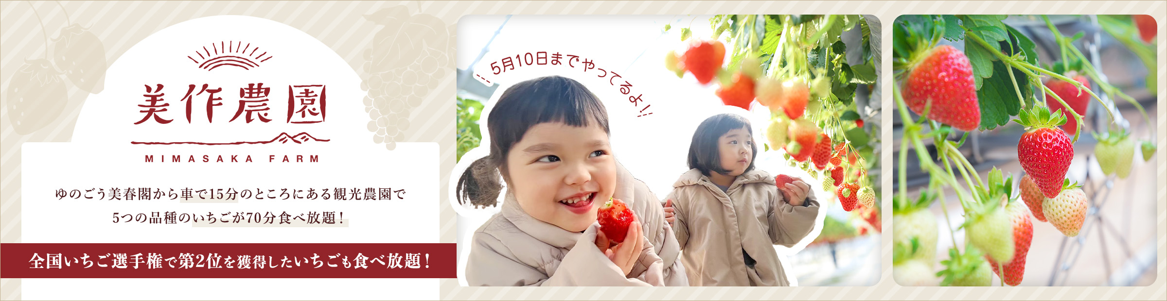 70分間いちごが食べ放題！美作農園