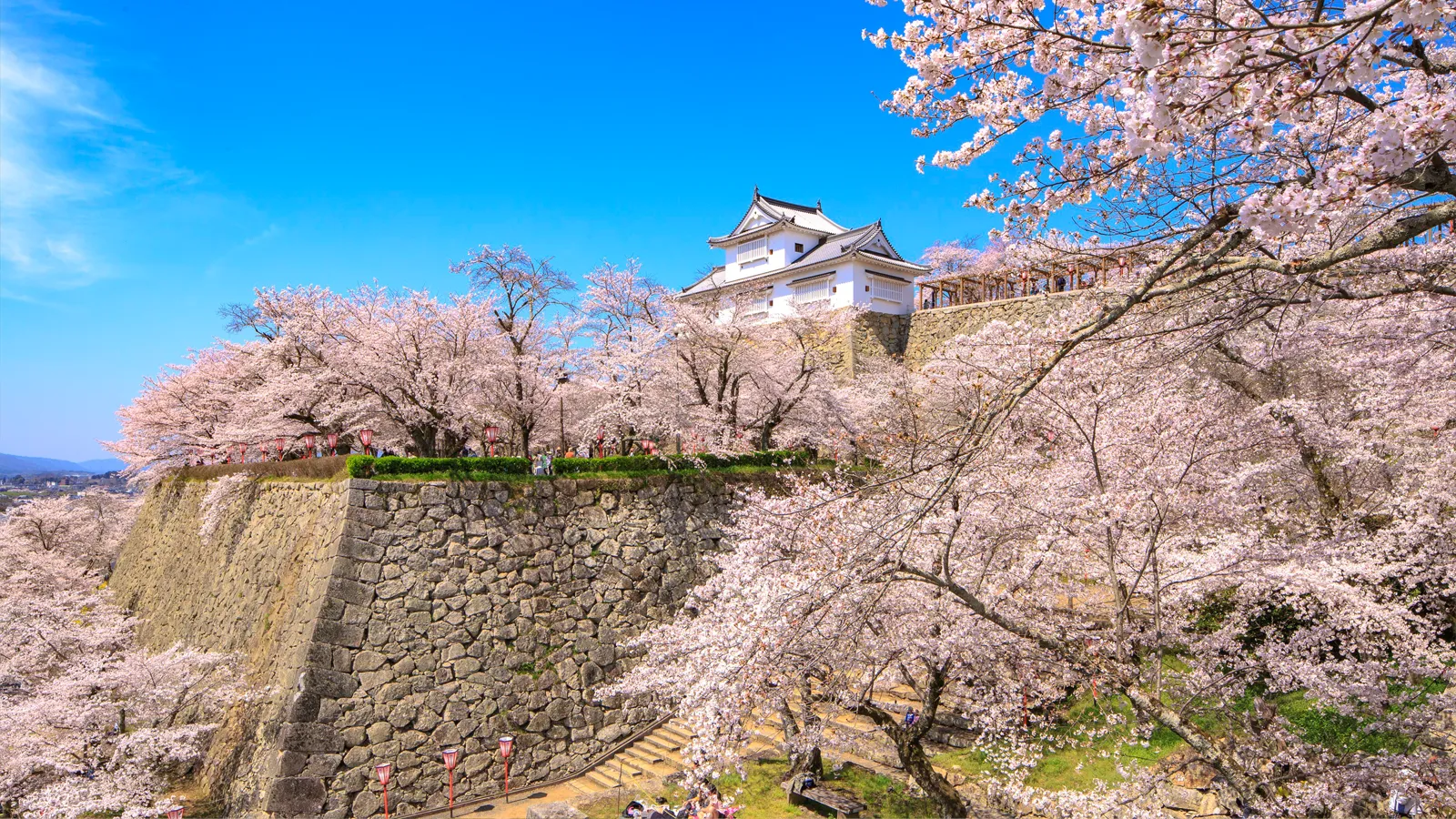 アイキャッチイメージ