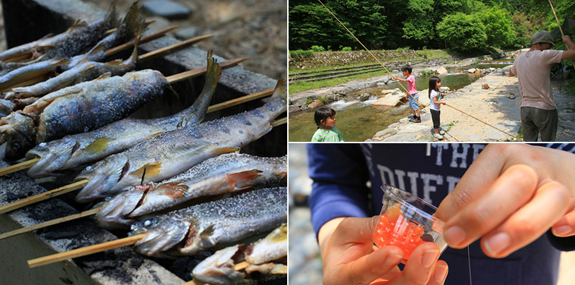 右手養魚センター